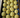 14550097