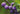 13795142