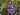 13794233