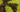 13794475
