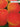 13794542