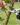 Accessori da Giardino