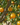 Alberi da Frutto
