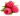 38508578