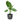 39356676