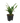 39362180
