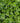 49494956