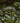 49495152