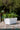 47781701