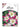 Bulbi di Lilium Asiatico Lollypop Bianco e Rosa - fiore
