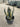 Agave Americana Marginata Vaso 24 - Vivaio Garden Forest (47844185)