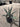 Agave Americana Vaso 18 - Vivaio Garden Forest (47844205)