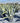 Agave Americana Vaso 40 - Vivaio Garden Forest (47844209)