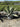 Agave Ferox Vaso 60 - Vivaio Garden Forest (47844220)