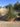 Agave Geminiflora Ciotola 50 - Vivaio Garden Forest (47844224)