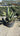 Agave Salmiana Vaso 60 - Vivaio Garden Forest (47844227)