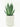 Aloe Safari Sunrise Vaso 18 - pianta adulta - Vivaio Garden Forest (48047876)