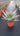 Aloe Ferox (Aloe Feroce) Vaso 24 - Vivaio Garden Forest