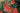 Aloe Safari Sunrise Vaso 18 - fioritura - Vivaio Garden Forest (48047879)