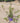 Alyogine (Ibisco Azzurro) Vaso 18 - Vivaio Garden Forest (48047887)
