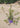 Alyogine (Ibisco Azzurro) Vaso 18 - Vivaio Garden Forest (48047887)