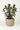 Sottocassetta Naturalia SNC 55 cm (49156364)