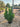 Arbutus Unedo (Corbezzolo) Vaso 24 - Vivaio Garden Forest (48047905)