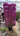 Bougainvillea Sanderiana Spall 55 L 100 H 200 - Vivaio Garden Forest (47844241)