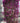 Bougainvillea Sanderiana Spall 60 Lt 90 L 120 H 190 - Vivaio Garden Forest (47844245)