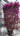 Bougainvillea Sanderiana Spall 60 Lt 90 L 120 H 190 - Vivaio Garden Forest (47844245)