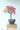 Bougainvillea Multicolor (Buganvillea) Bonsai Vaso 75 - pianta adulta - Vivaio Garden Forest (48047929)