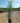 Buddleja Davidii Cesp 40 Nanho Purple - Vivaio Garden Forest (47844254)