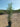 Buddleja Davidii Cesp 40 Nanho Purple - Vivaio Garden Forest (47844254)