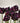 Bulbi di tulipano Black Parrot 11/12 in fioritura, fiore pappagallo bordeaux quasi nero (49645102)