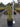 Buxus Sempervirens (Bosso Comune) Variegato Vaso 24 - Vivaio Garden Forest (48047982)