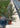 Callistemon Captain Cook (Pianta Scovolino) Vaso 24 - Vivaio Garden Forest (48047992)