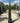 Cupressus Sempervirens Totem Vaso 24 - Vivaio Garden Forest (47844278)