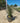 Dasylirion Longissimum Vaso 40 - Vivaio Garden Forest (48048078)