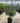 Echium Fastuosum Cesp 30 - Vivaio Garden Forest (47844284)