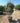 Eleagnus Ebbingei Compacta Multitronco 60 - Vivaio Garden Forest (47844293)