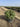 Eleagnus Ebbingei Compacta Palla 55 - Vivaio Garden Forest (47844297)