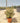Eleagnus Viveleg (Olivagno) Vaso 24 - Vivaio Garden Forest (48048137)