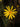 Euryops Pectinatus (Margherita Gialla) Vaso 24 - fioritura - Vivaio Garden Forest (48048209)