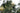 Grevillea Mont Tamborita Vaso 24 - fogliame - Vivaio Garden Forest (48048236)