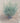 Helichrysum Italicum Cesp 18 - Vivaio Garden Forest (47844330)