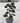 Ilex Crenata Kinme Bonsai Ciotola 60 - Vivaio Garden Forest (47844341)