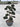 Ilex Crenata Kinme Bonsai Ciotola 60 - Vivaio Garden Forest (47844341)