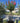 Lagerstroemia Indica Anfora Ciotola 90 - Vivaio Garden Forest (47844345)