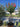 Lagerstroemia Indica Anfora Ciotola 90 - Vivaio Garden Forest (47844345)