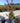Lagerstroemia Indica Cesp 24 Dynamite E Q - Vivaio Garden Forest (47844346)